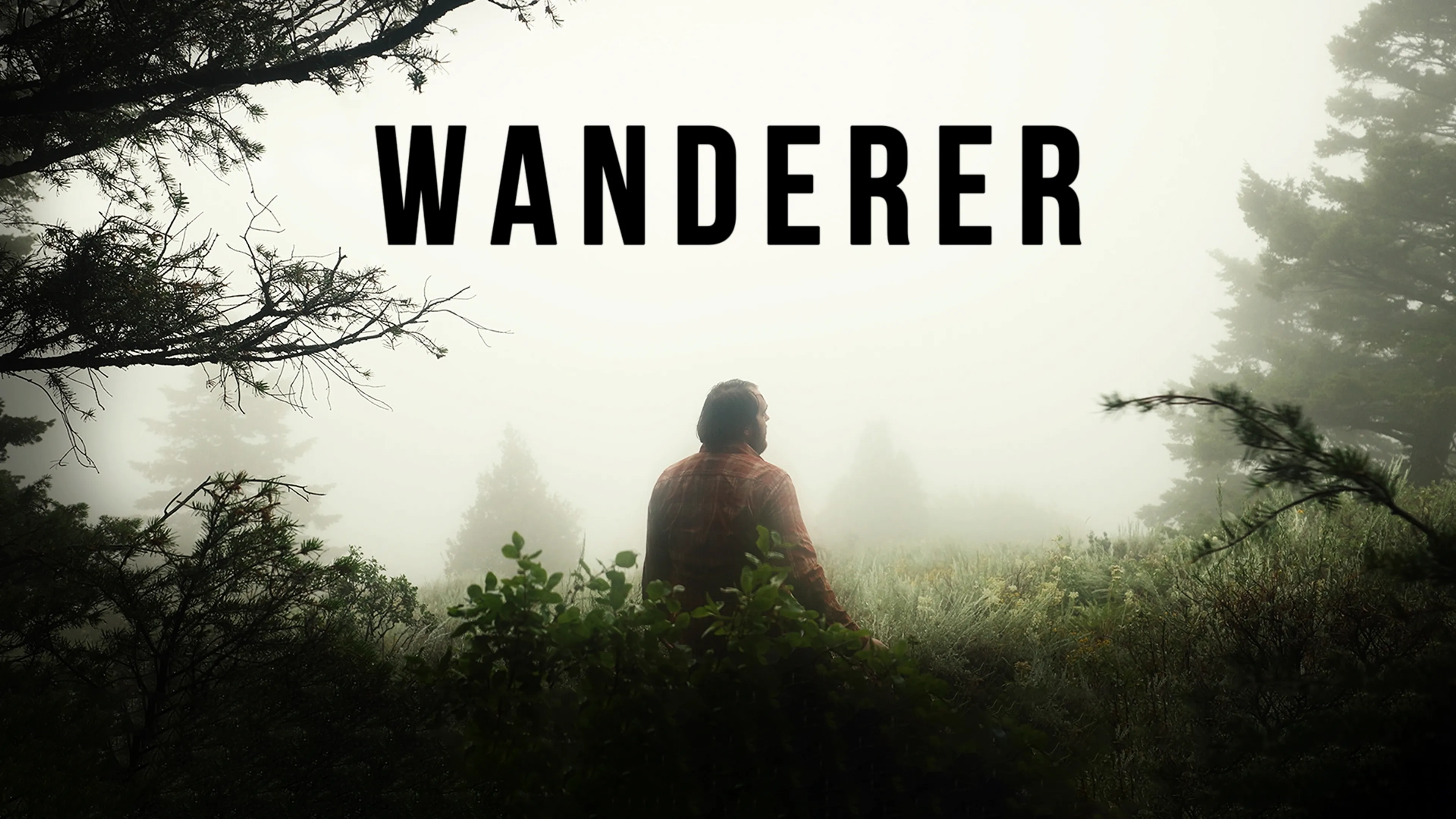 Wanderer poster